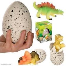 ביצת דינוזאור בוקע