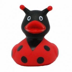 ברווז פרת משה רבינו