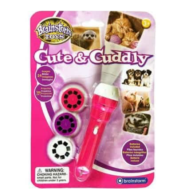 פנס שקופיות