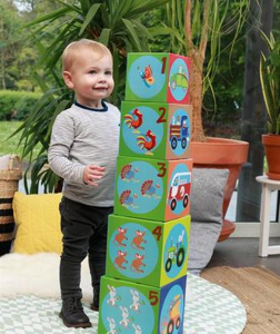 מגדל קוביות חווה