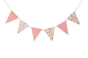 דגלוני פרחים ורודים ונקודות