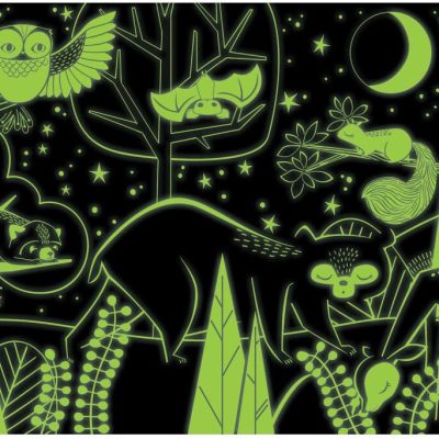 פאזל זהר בחושך - יער