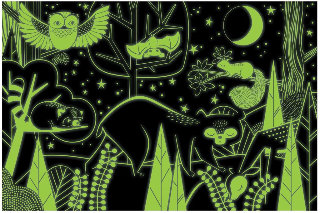 פאזל זהר בחושך - יער