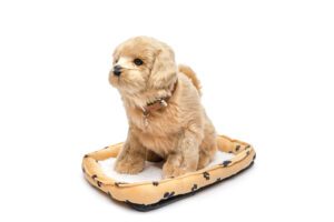 גולדן רטריוור