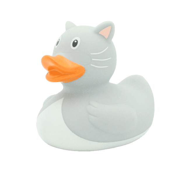 ברווז אמבטיה חתול אפור