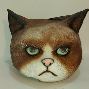 מסיכה לחתול