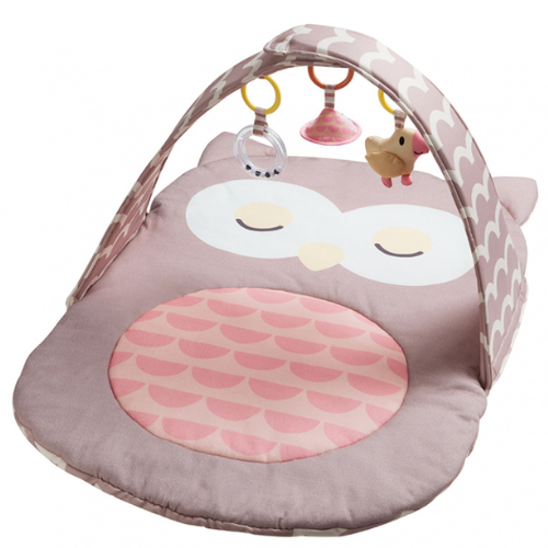 אוניברסיטה לתינוק