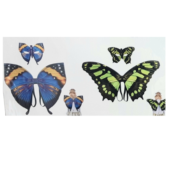 כנפיים ומסיכה לפרפר