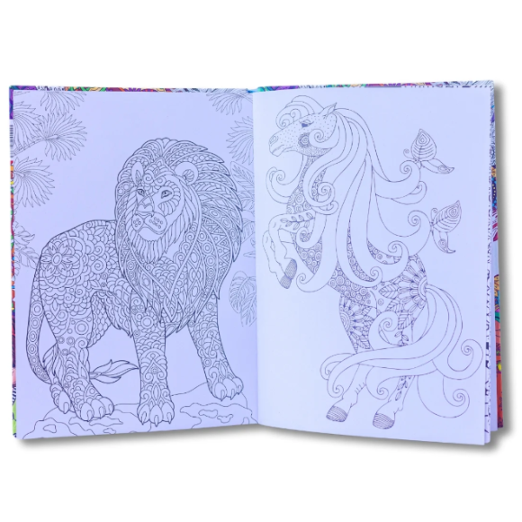 ספר צביעה מבוגרים